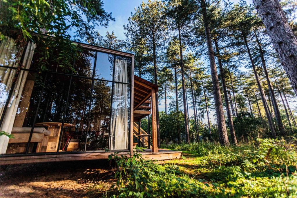 Forest eco home