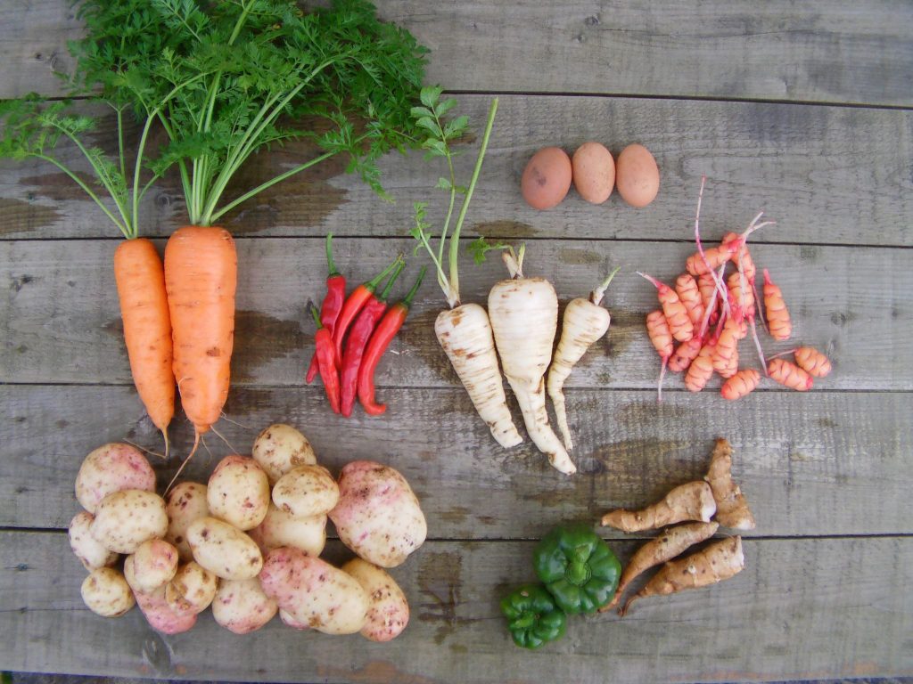 Best vegetables for self sufficiency