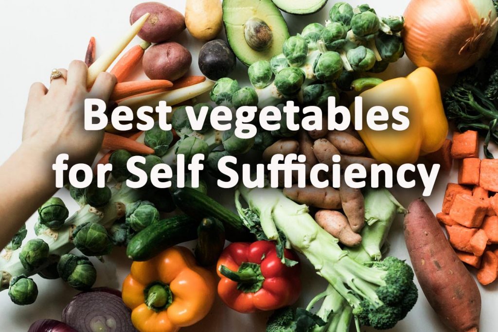Best vegetables for self sufficiency