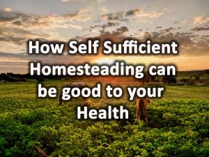 Homesteading good for your health