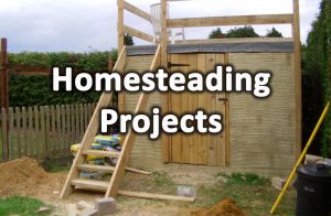 Homesteading projects