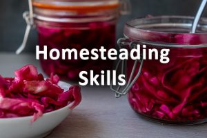 Homesteading skills