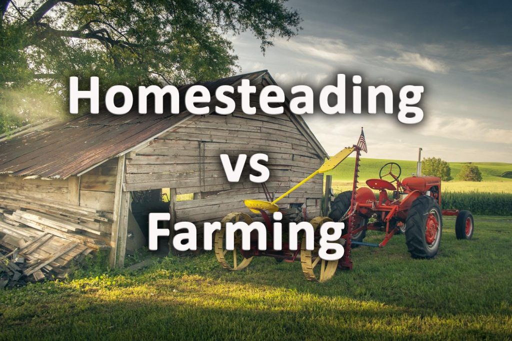 Homesteading verses Farming