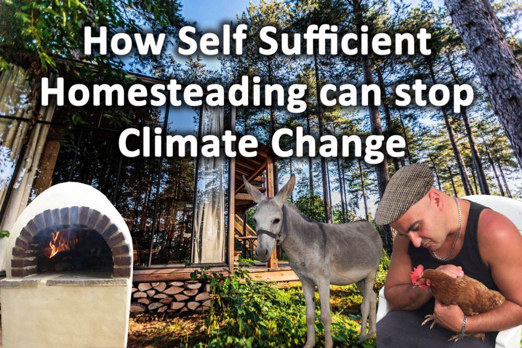 How self sufficient homesteading can stop climate change