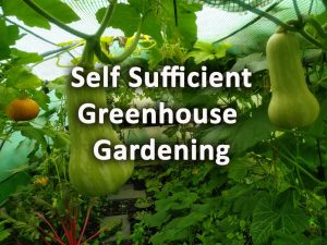 Self sufficient greenhouse gardening